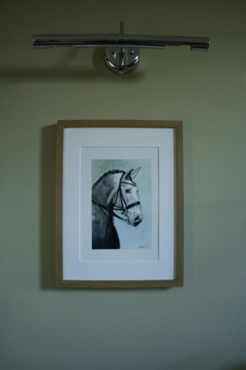 The Dappled Horse by John O'Callaghan