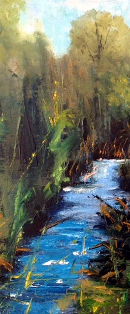 UP THE CREEK by BARBARA  HARLOW