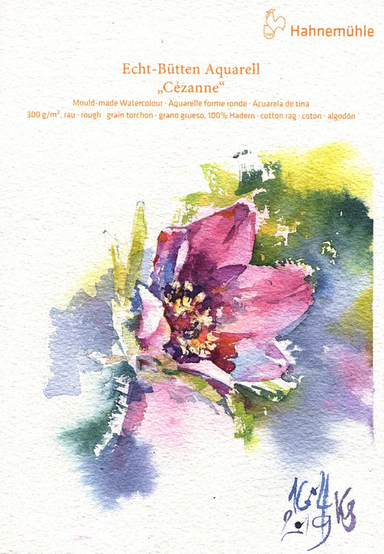 "Pasque-flower" original watercolor sketch small format