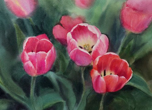 Tulips - tulip field by Olga Beliaeva Watercolour