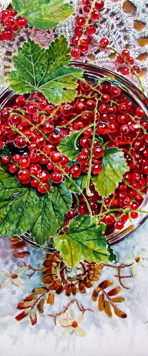 Redcurrant by Kovács Anna Brigitta