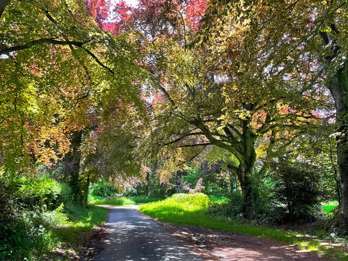 Romantic Country Lane in Springtime by Alex Cassels