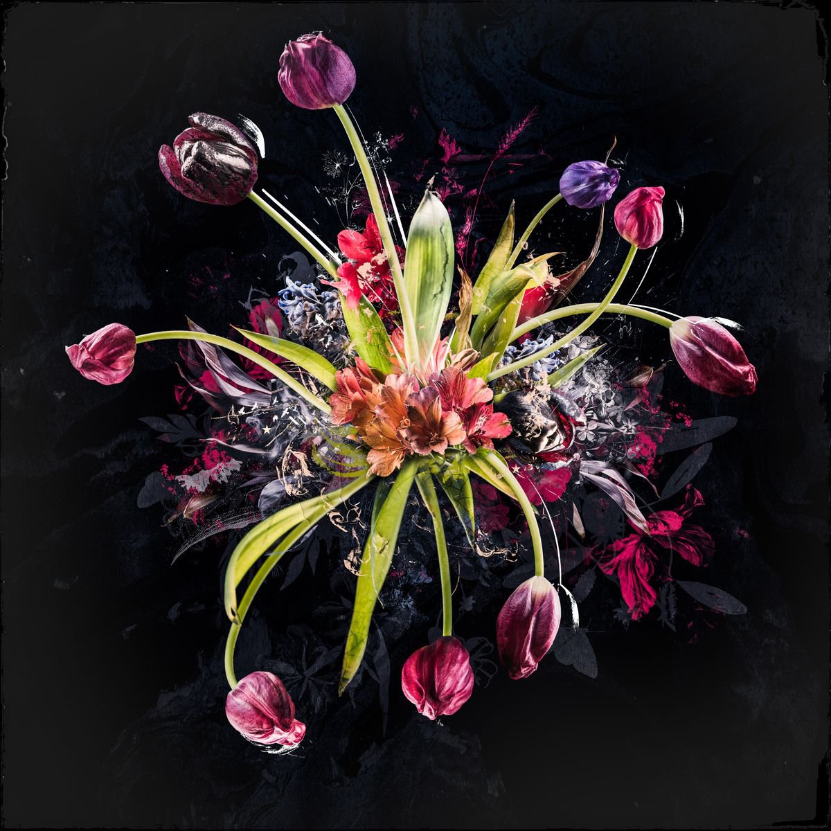 Bouquet XVIII by Teis Albers