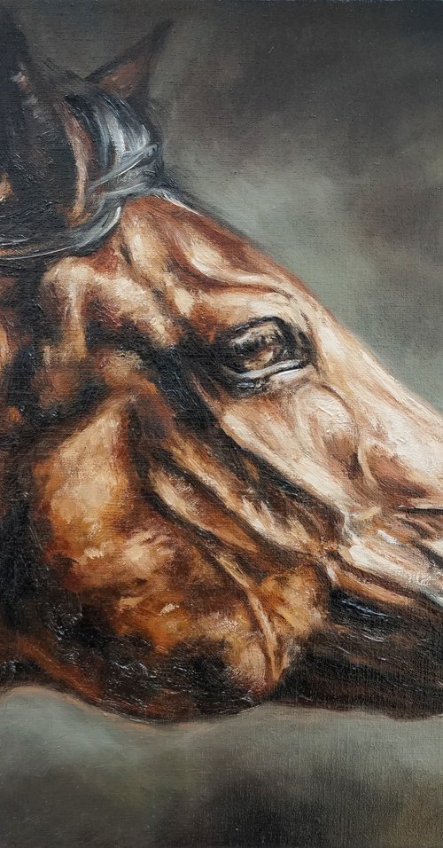 In Motion-Original Horse Portrait by Sabbi Gavrailov