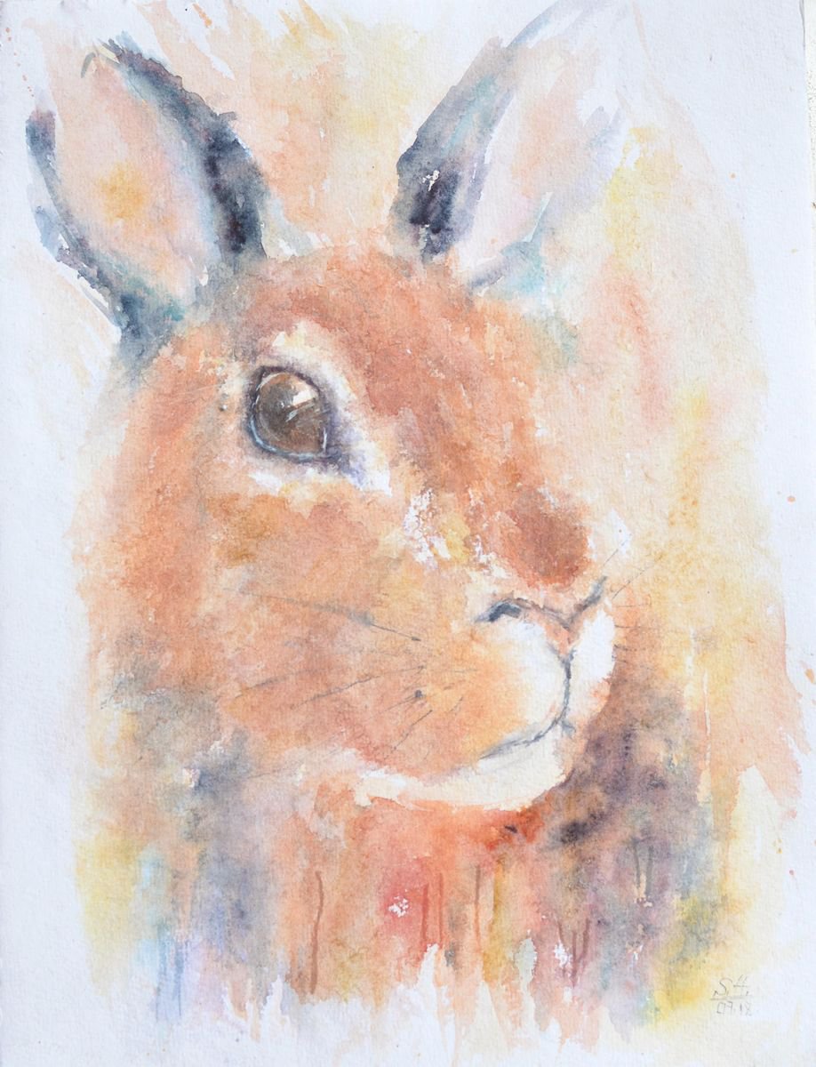 Red Hare by Sveta Hubmann
