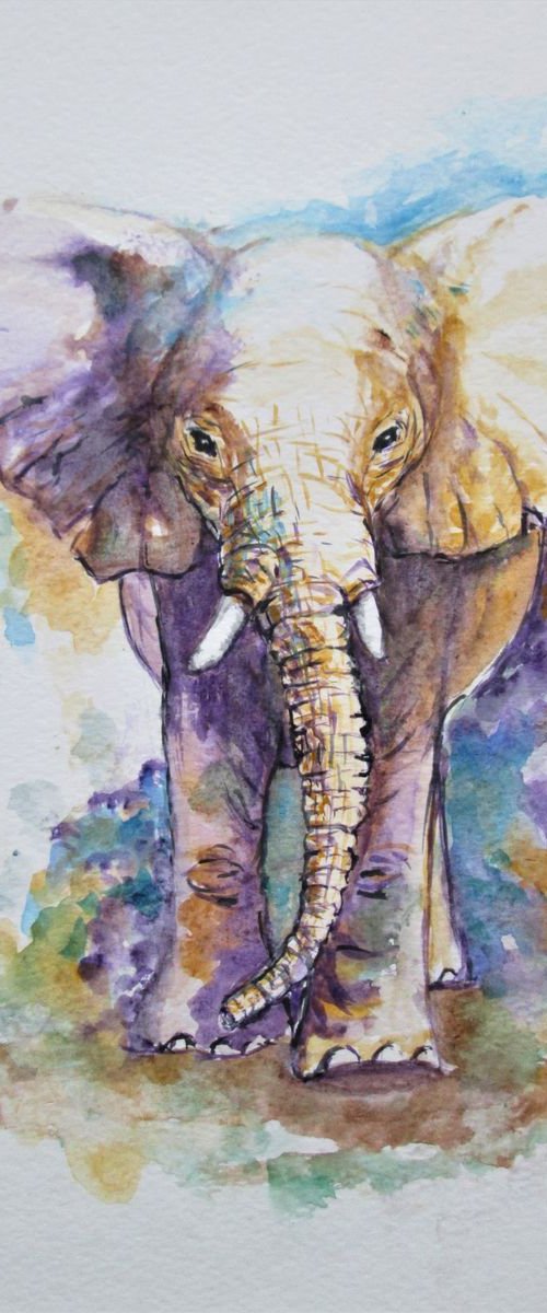 Elephant by MARJANSART