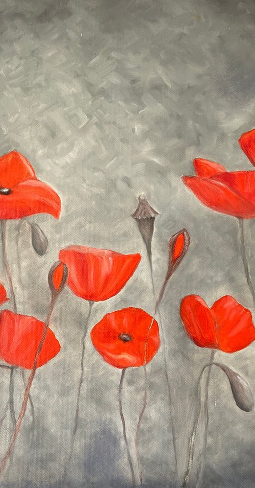 Contemporary Poppies by Heather Matthews