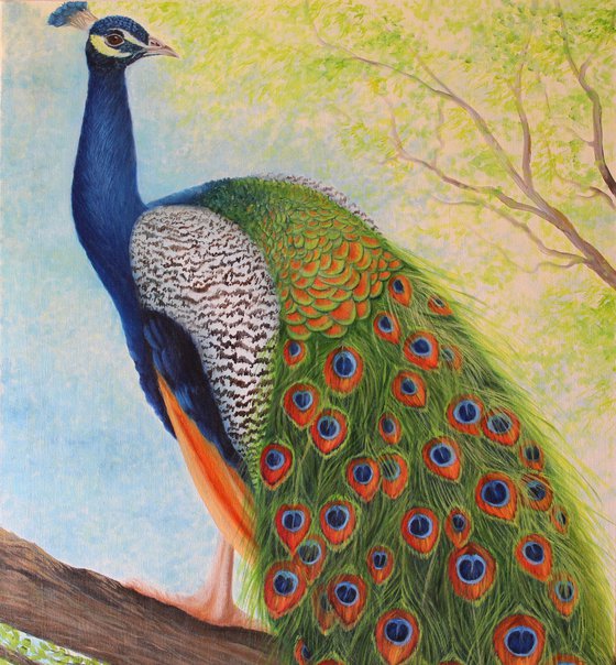 Peacock sitting on tree