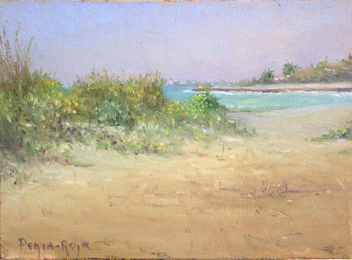 Playa Grau, Moncofa by Vicent Penya-Roja