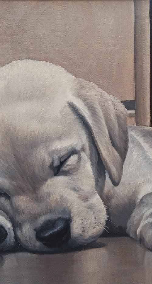 Doggy-6 (40x50cm, oil painting, ready to hang) by Tamar Nazaryan