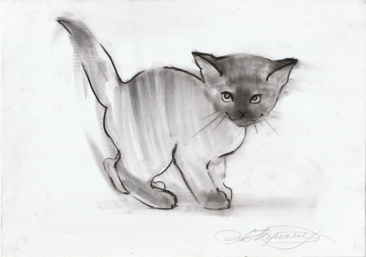 Animal Charcoal Drawing By Anastasia Terskih, 12 X 8, The Imp Cat, Original Artwork