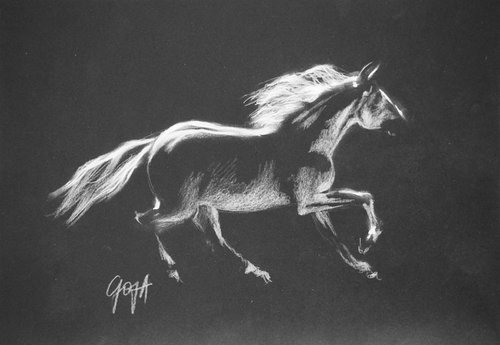 HORSE by Nicolas GOIA