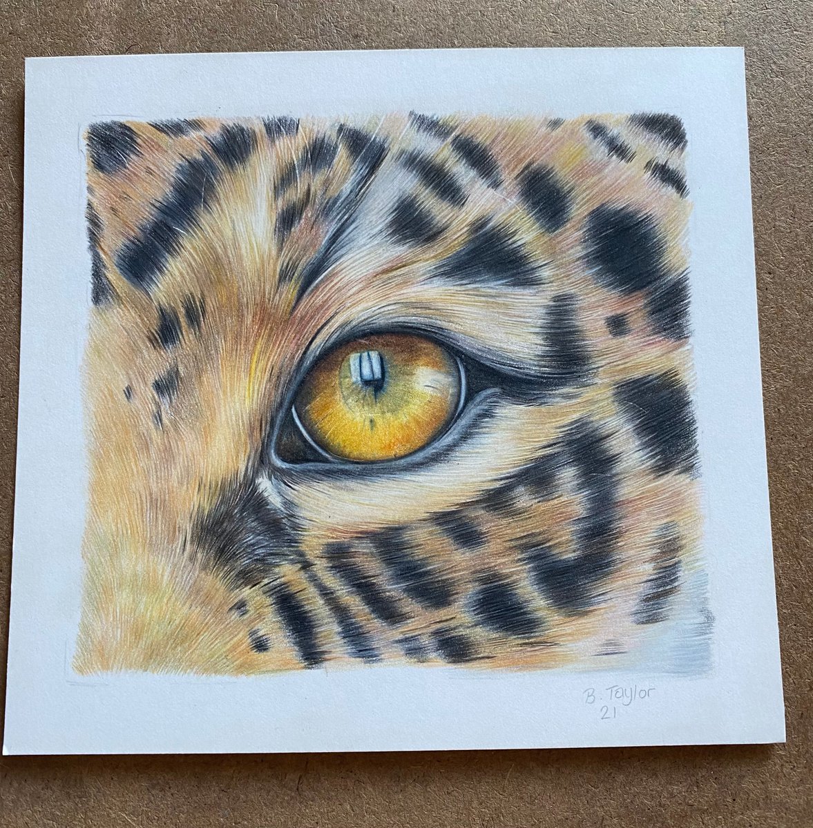 Jaguar eye study by Bethany Taylor