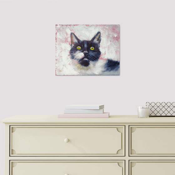 Cat Portrait.