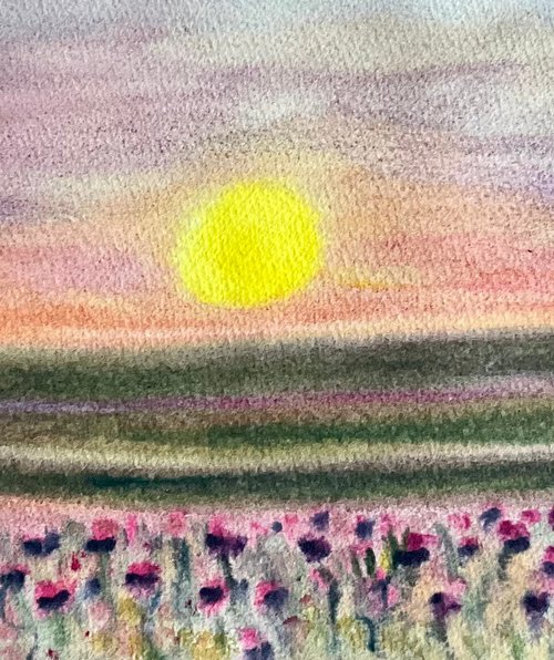 Thistle meadow at Sunset, Kingston Lacy Estate, North Dorset by Samantha Adams