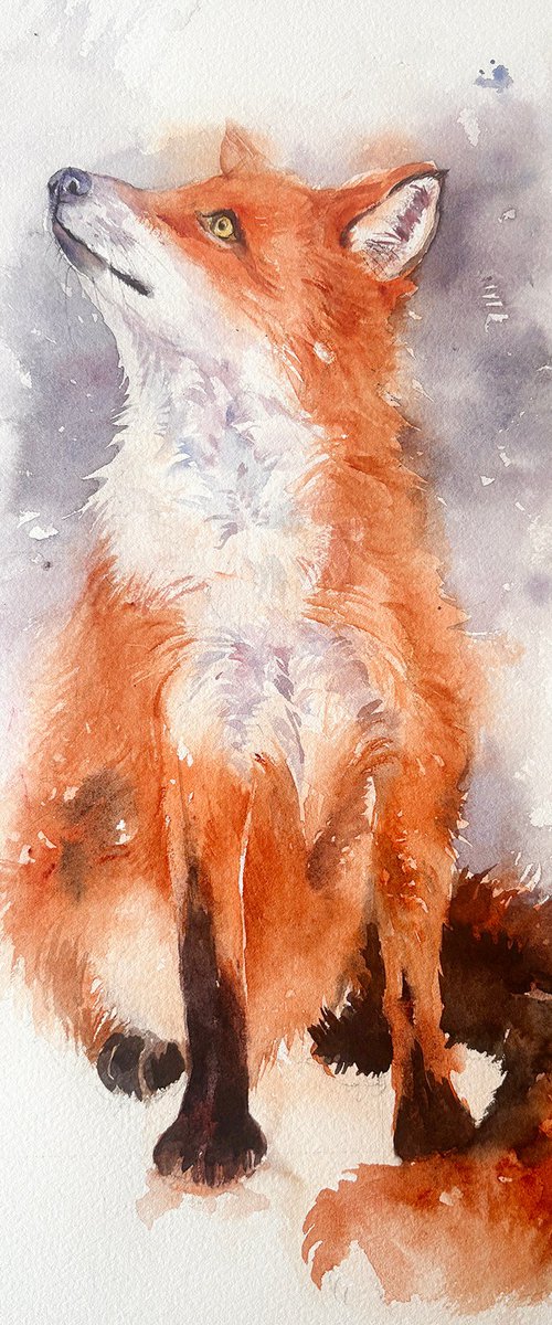 Red Fox Flora by Arti Chauhan