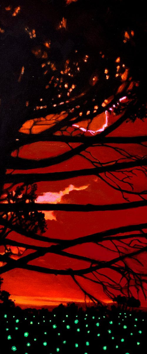 Pine Trees at Sunset by John O'Grady