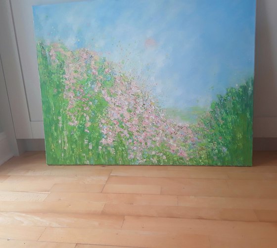 PINK SUMMER MORNING