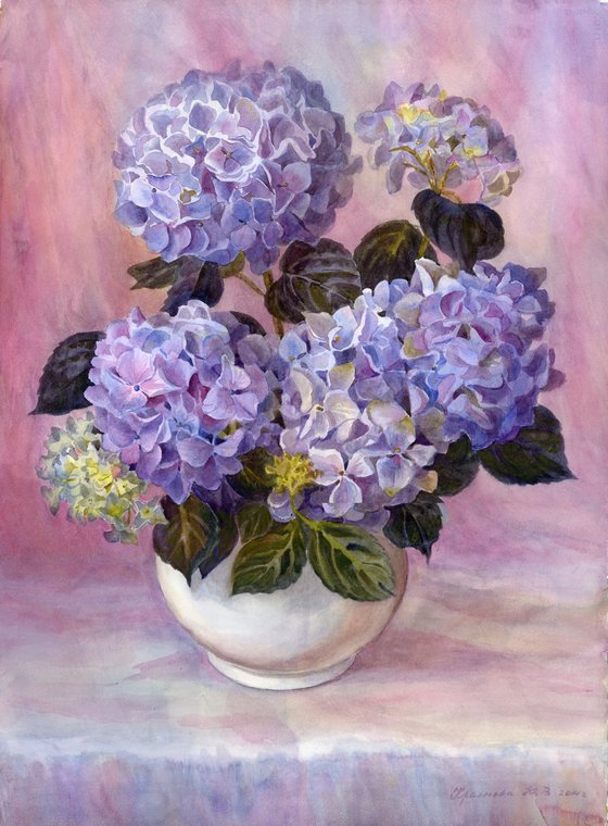 Hydrangea in a white vase