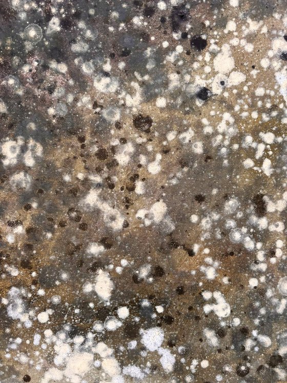 Lichen