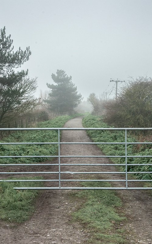 Seven Bar Gate by Adam Regan