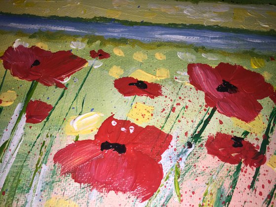 Poppies over the River