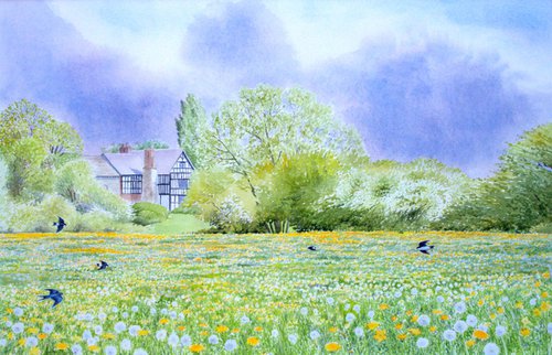 Spring meadow - Deerhurst, Gloucestershire by John Horton