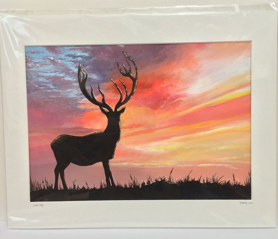 Sunset Stag