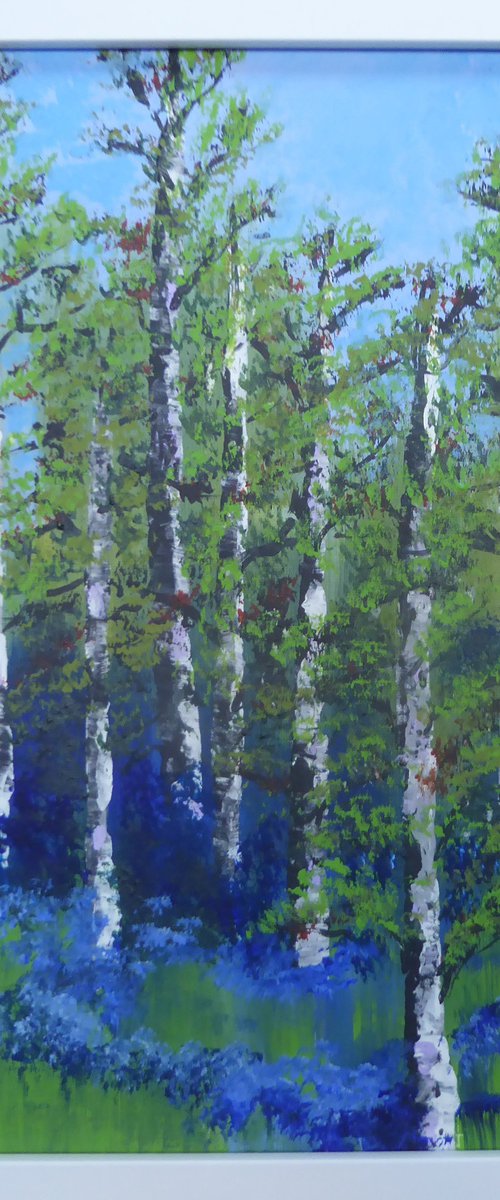 Bluebells at Shotover, Oxford by Elaine Allender