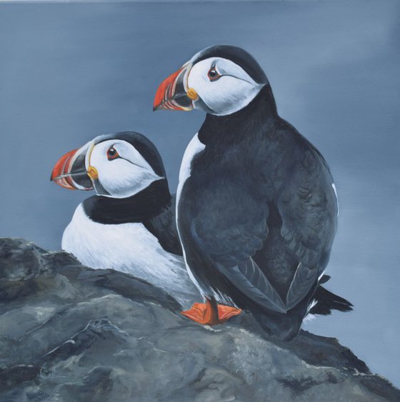 'Two Puffins on a rock'