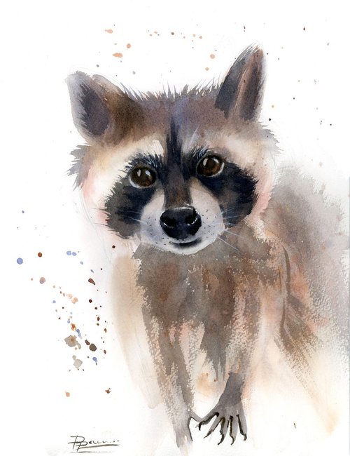 Raccoon by Olga Shefranov (Tchefranov)