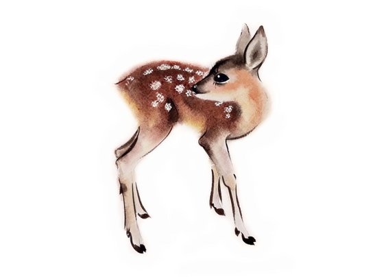 Fawn Baby Deer