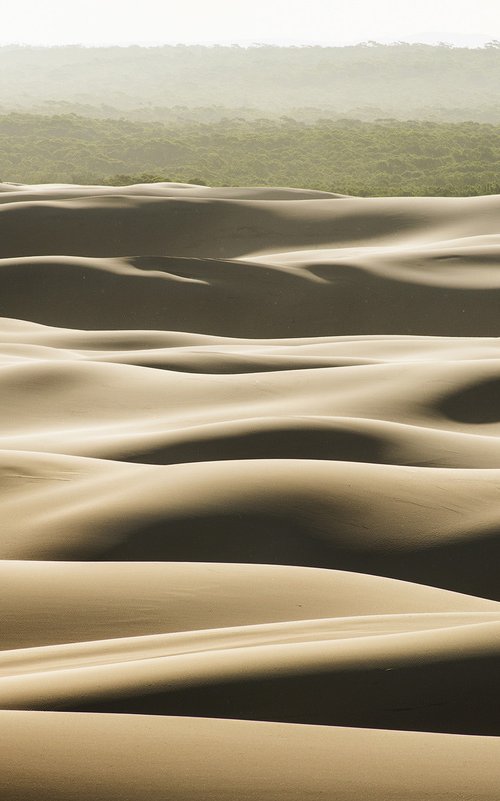 Rolling Hills of Sand by Anton Gorlin