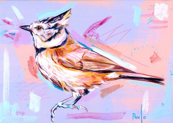 Crested tit