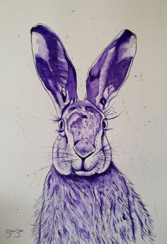 ' Purple Hare ' on paper 42cm x 59cm