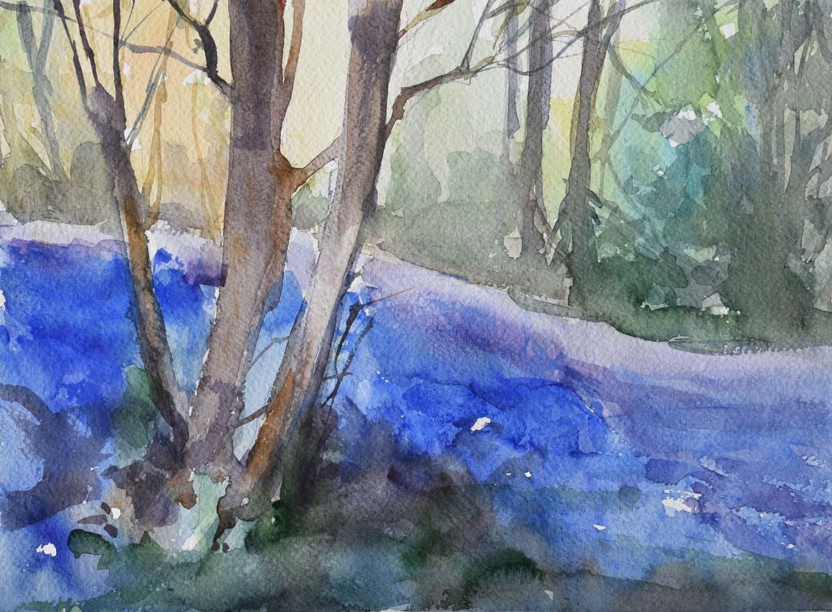 Bluebell woods ,Cornwall IIIa by Goran Zigolic Watercolors