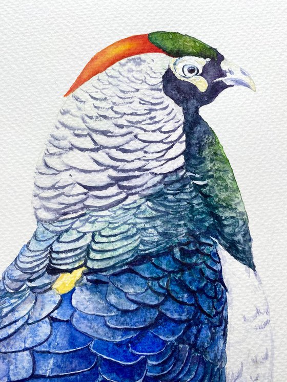 Set of three pheasant