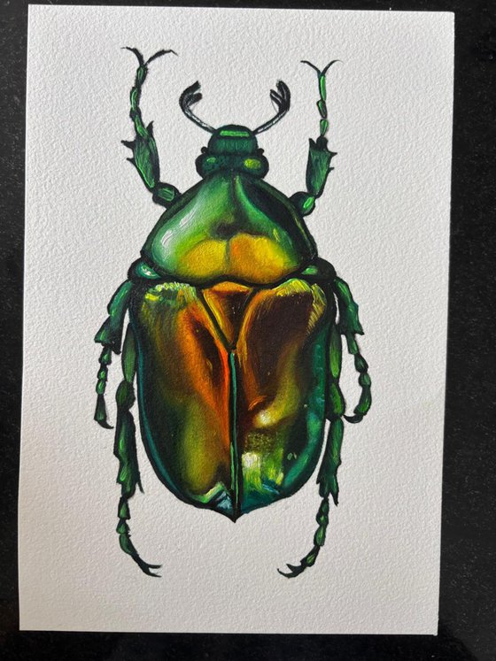 THE BEETLES SECRET