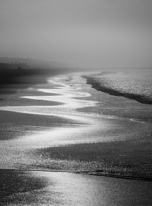 VENICE TIDE by Harv Greenberg