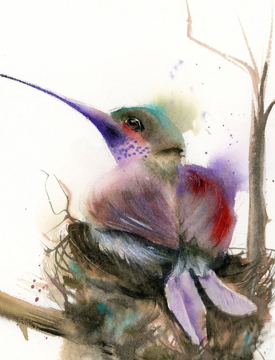 Hummingbird in the nest (1)