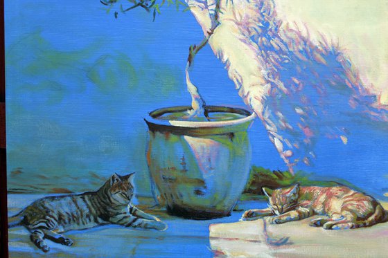 Greek Kittys #11