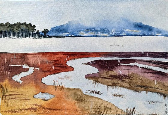 Coyote Point