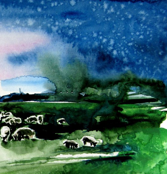 Sheep in the meadow