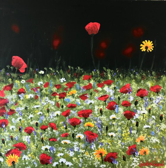 Wild Flower Meadow