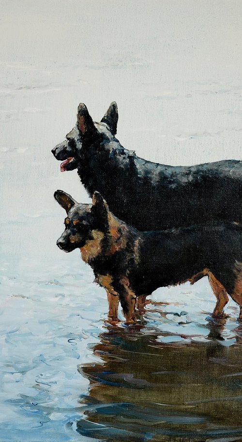 Dog Fate by Oleg Kateryniuk