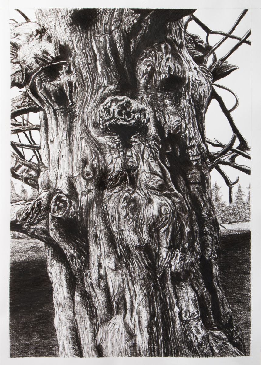 Photorealistic Landscape Charcoal Drawing By Stefan Fierros, 20 X 28", The Essence Of My Friends #5, Original Artwork