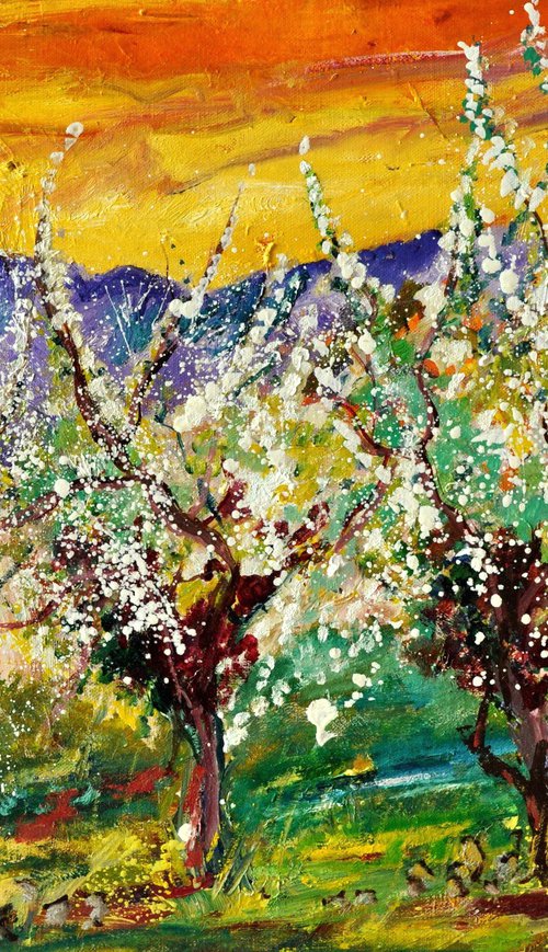 Cherrytrees in spring by Pol Henry Ledent