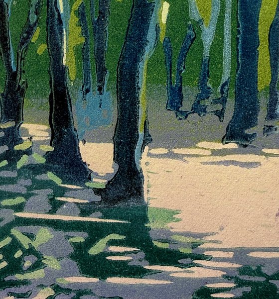 Soft Dusk, Highgate Wood