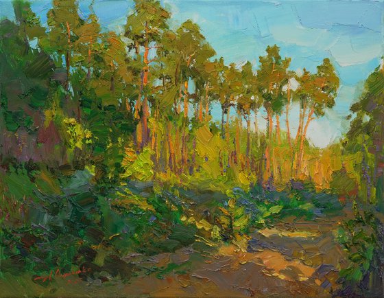 Warm evening in the forest