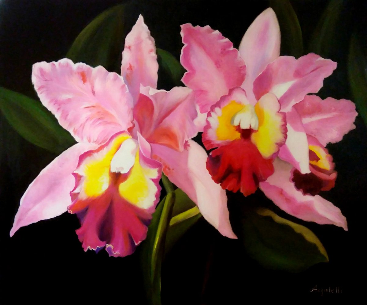 Photorealistic Botanical Oil Painting By Anna Rita Angiolelli, 24 X 20, Orchids, Original Artwork